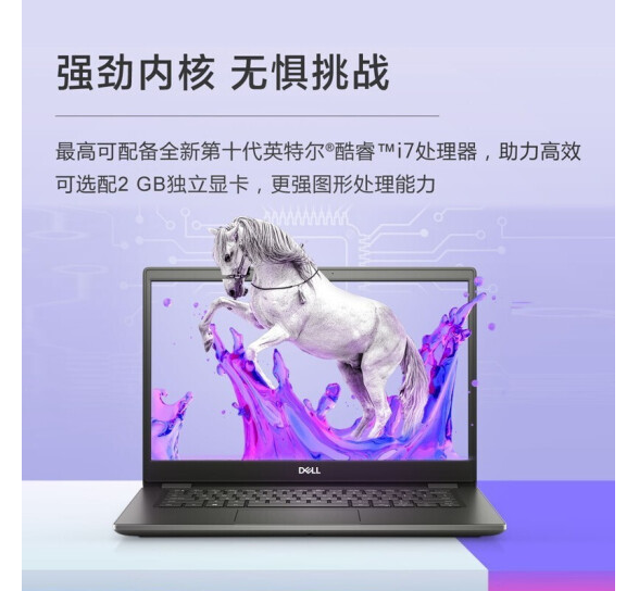 戴尔（DELL）Latitude 3410 300103 便携式计算机 I7-10510U/集成/8G/256G固态硬盘/2G独显/无光驱/14寸 笔记本电脑