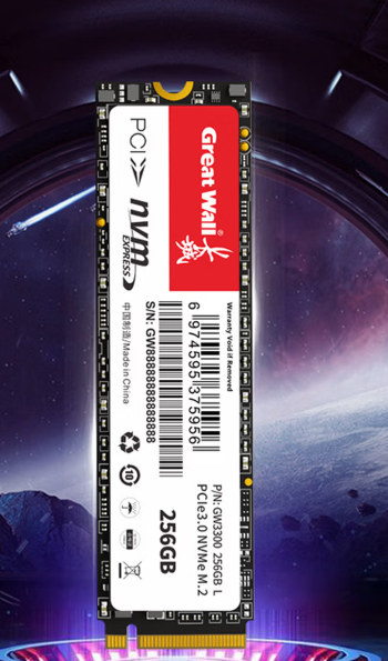 长城(Great Wall) 256GB SSD固态硬盘 M.2接口