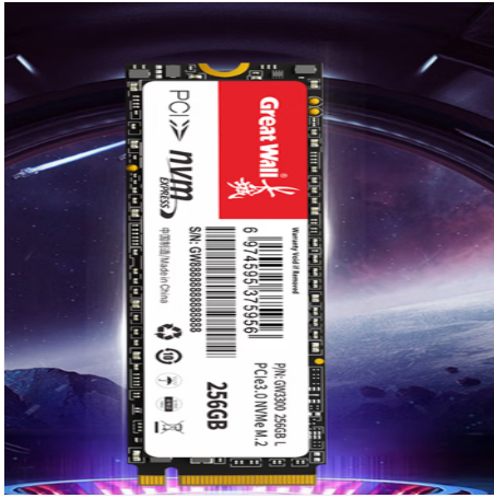 长城（Great Wall) 256GB SSD固态硬盘 SATA3.0接口 读速540MB/S台式机/笔记本通用 GW560系列